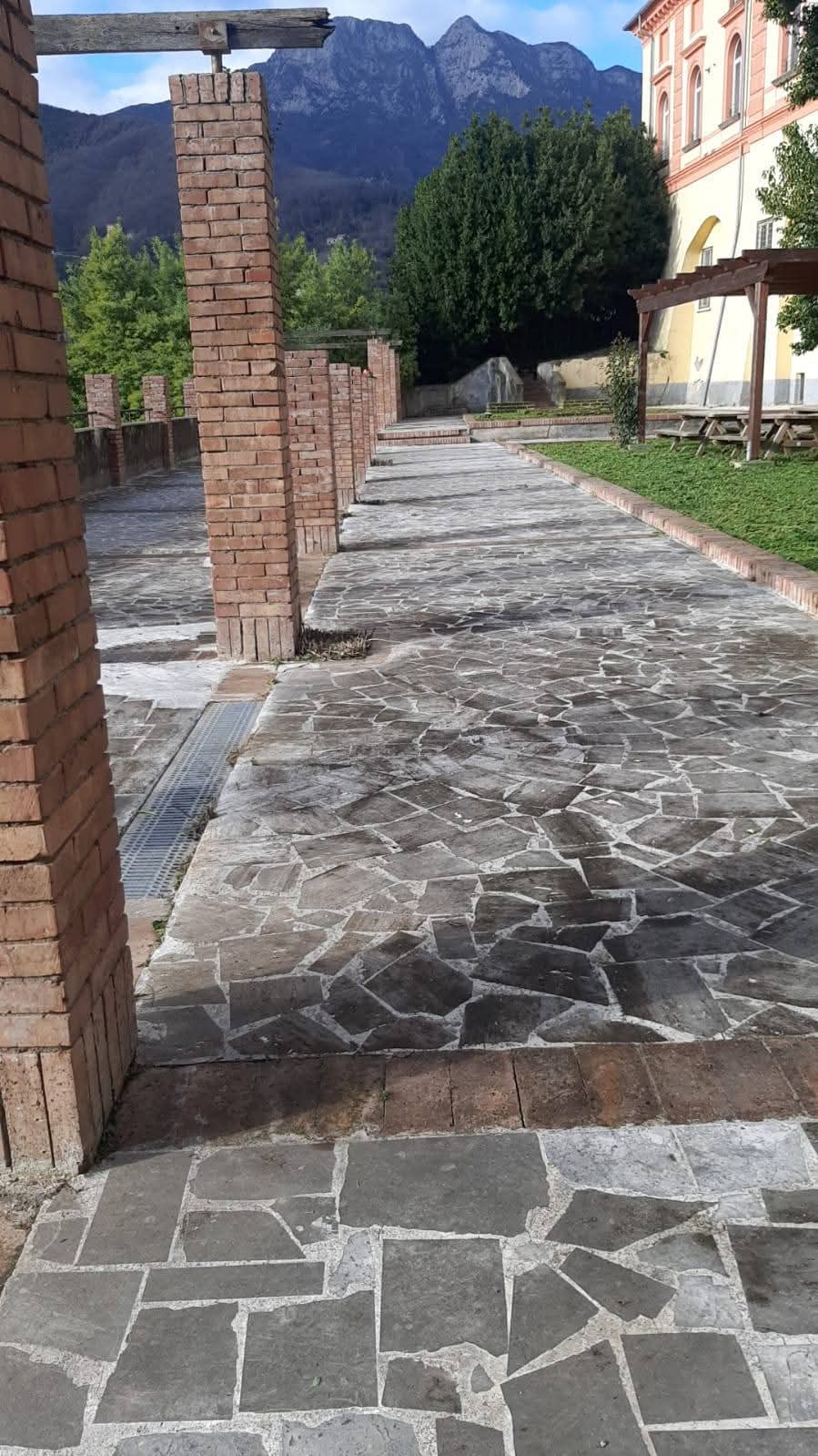 WhatsApp Image 2025-01-20 at 15.16.33